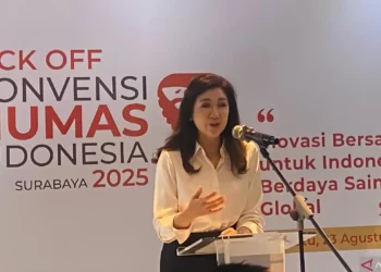 Fifi Aleyda Yahya, Dirjen Komunikasi Publik dan Media Kemkomdigi