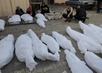 Deretan jenazah korban serangan Israel di Gaza