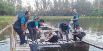 Kepala Badan Karantina Indonesia Sahat M. Panggabean melepas bibit ikan nila di kolong bekas tambang bijih timah kawasan Bangka Botanical Garden, Pangkalpinang.