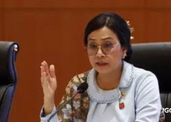 Sri Mulyani saat rapat membahas kebijakan negara